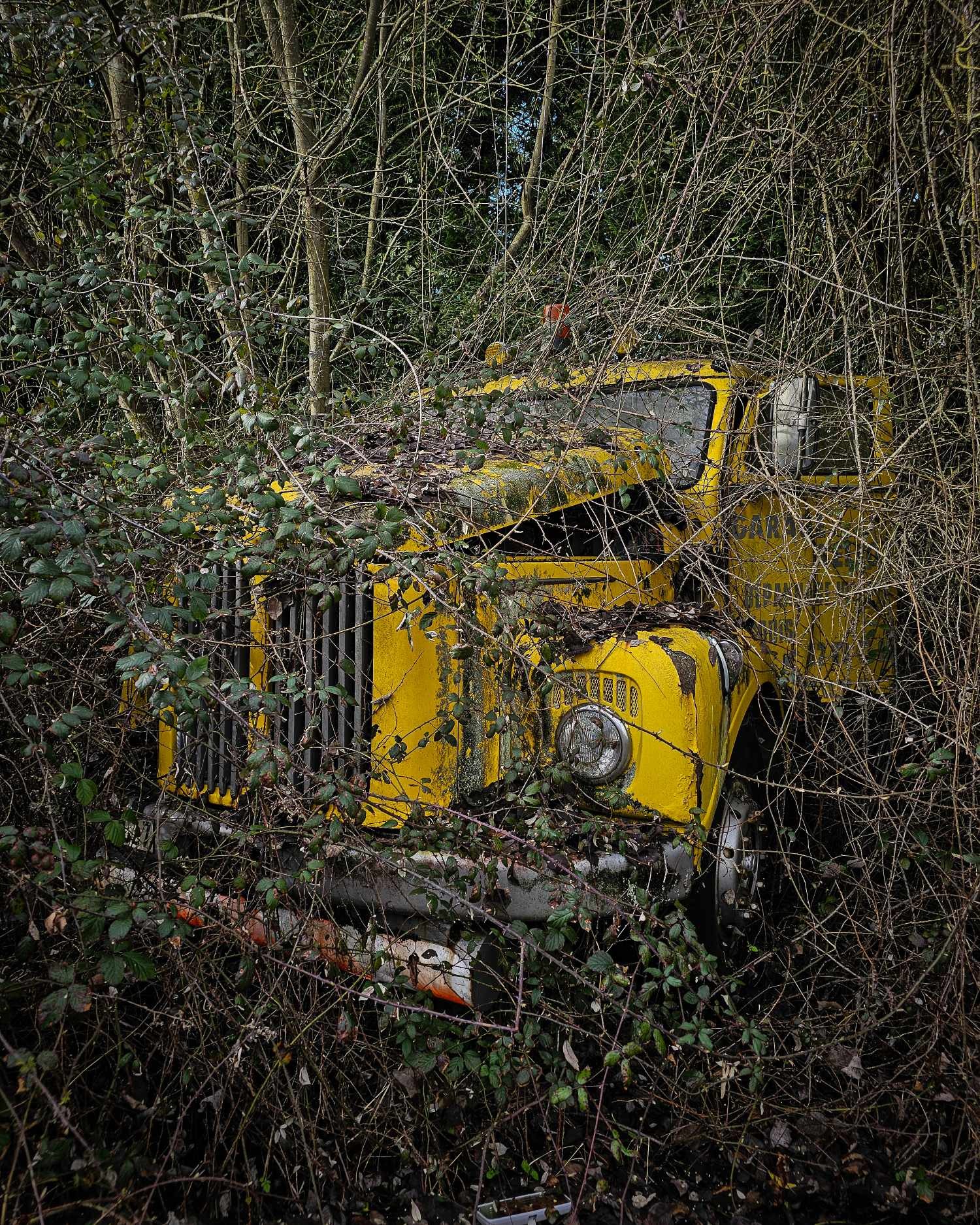 7f56d540 8c79 4e1a 9177 d97598663a33