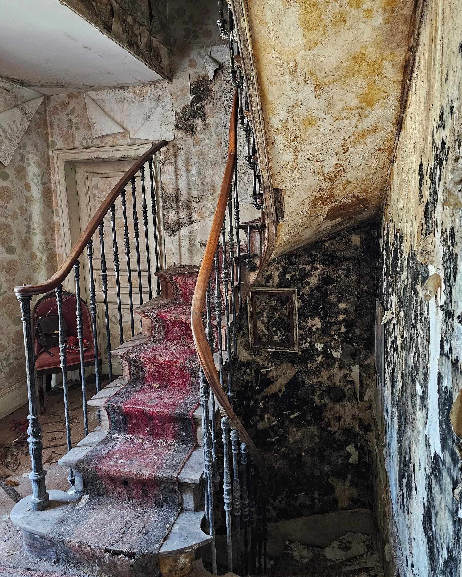 Bd985d70 531a 4e08 8dda 474ada8ee146