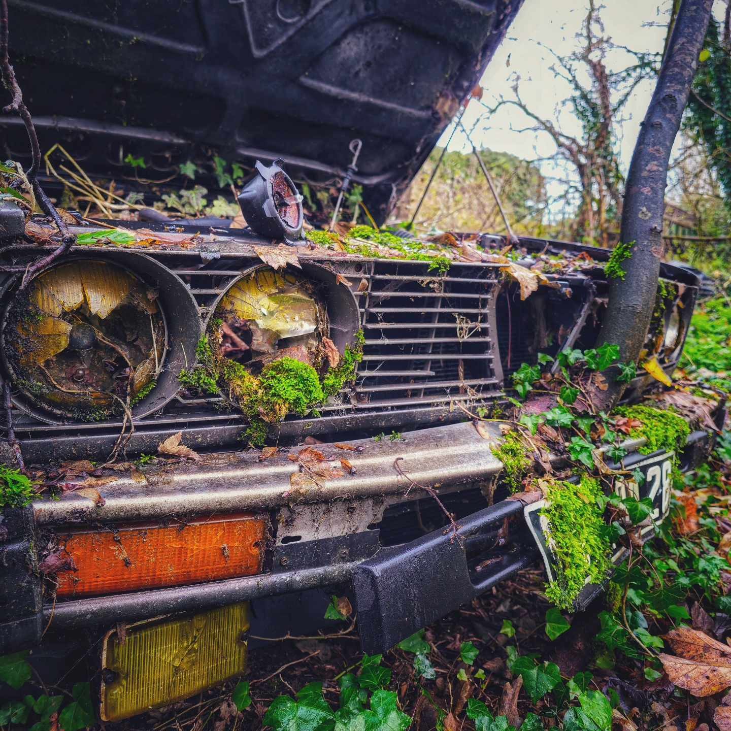 Dbfcb759 9332 44d6 b919 edf8663718a6 1 